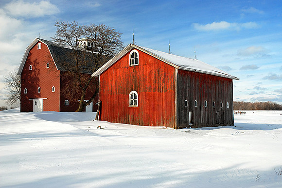 Babcock Barn In Winter