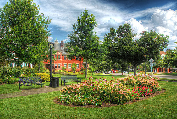 Oasis In The City II